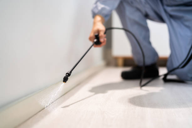 Licensed Pest Control service in Twin City, GA - Show Me Pest Control