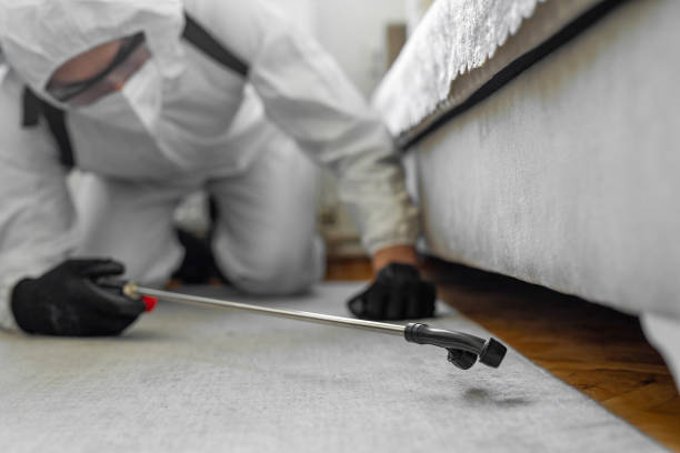 Professional Ant Control technician working in Twin City, GA