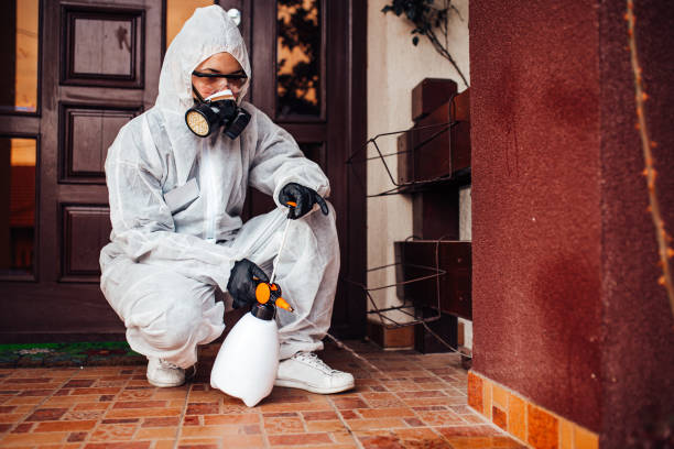 Reliable Ant Control contractor in Twin City, GA by Show Me Pest Control